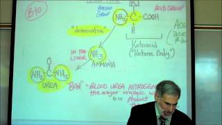 PHYSIOLOGY CELLULAR RESPIRATION PART 2 by Professor Fink [upl. by Llehcal]