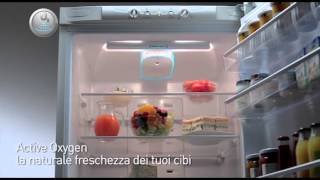 Frigorifero HOTPOINT Active Oxygen [upl. by Mishaan843]