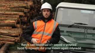 Careers in Forestry  Alex Evans Civil Engineer [upl. by Woll26]