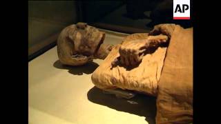 Egypt  Mummies [upl. by Jillane]