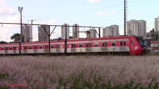 CPTM locomotiva ALCO RS3 6005 com vagões passageiro e movimentação dos TUEs [upl. by Whitehouse137]