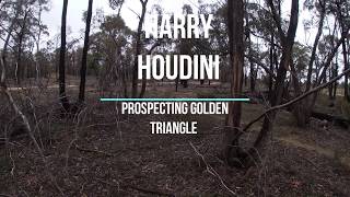 Gold Prospecting  Maryborough June 2020  Paddys ranges area [upl. by Fianna]