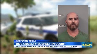 Kauai man charged with strangling dog to death court appearance scheduled [upl. by Akinorev]