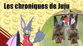 10 Choses Sur Les CHAUVESSOURIS [upl. by Naujik522]