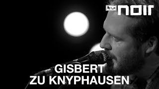 Gisbert zu Knyphausen  Bagagedrager Spinvis Cover live bei TV Noir [upl. by Ocsisnarf]