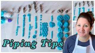 Piping tip and their designs  plus which are my favourite piping tips [upl. by Derayne]