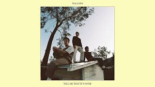 Wallows  Thats What I Get Official Audio [upl. by Delores]