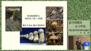 한국임업진흥원송이재배와 소나무림20131128 [upl. by Lered]