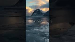 Recitation By Qari Abdul Rehman Mossad Recitation 🖤🎧  Qari Abdul Rehman Mossad Recitation Shorts [upl. by Klemm]