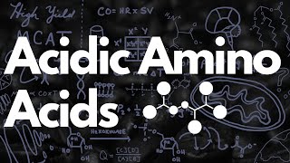 Acidic Amino Acids Aspartate amp Glutamate  MCAT [upl. by Nodmac]