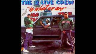 2 Live Crew  Mr Mixx on the Mix [upl. by Auqenaj]