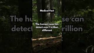 Random Anatomy Fact science facts anatomy humanity trending [upl. by Ardyaf]