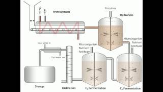 Process of Fermentation [upl. by Nwadal681]