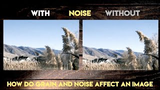 The difference between Digital Noise and Faux Grain  SOOC SoundBite SE01EP05 [upl. by Fraase]