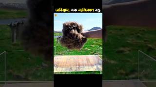 পৃথিবীর সবচেয়ে অদ্ভুত জাদুকরী বস্তু facts viral shortsfeed shorts viralvideo [upl. by Stubstad]