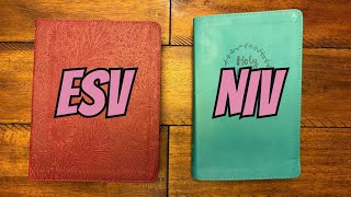 ESV vs NIV Bible Which is Better [upl. by Mozes]