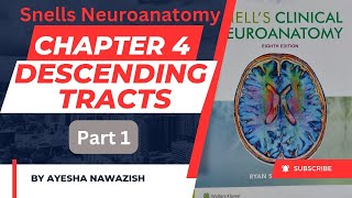 Descending tracts part 1 Chapter4 Snells Neuroanatomy [upl. by Navek]