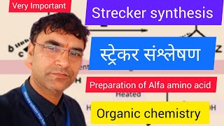 Strecker synthesisस्ट्रेकर संश्लेषण  BSc3rdMScOrganic chemistryashokjangidchemistryguru8071 [upl. by Guntar463]