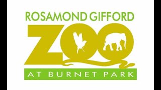 Rosamond Gifford Zoo Full Tour 2024 [upl. by Vod86]