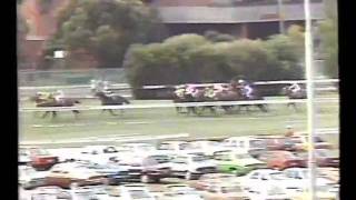 1986 Cox Plate Bill Collins version [upl. by Kim]