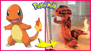 POKEMON In Real Life  Guess the Pokemon by Emoji 🔥⚡ [upl. by Arual20]