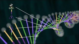 Syntetyczne DNA  Rewolucja w nauce  film dokumentalny LEKTOR PL [upl. by August950]