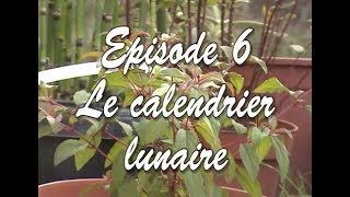 Plantes EP6  Le calendrier lunaire [upl. by Attalie]