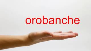 How to Pronounce orobanche  American English [upl. by Aidnyc]