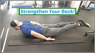 Beginner Low Back Exercises  Erector Spinae Strength [upl. by Retxab]