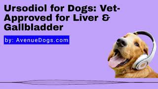 Ursodiol for Dogs VetApproved for Liver amp Gallbladder [upl. by Yorel633]