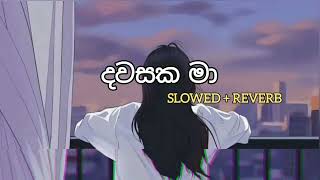 Dawasaka Ma  දවසක මා හමුවෙලා SlowedReverb [upl. by Marthena]