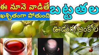 ఊడుగ  అంకోల  health benefits  Alangium  salvifolium  decapetalum  ankola  ooduga  uduga [upl. by Noissap453]