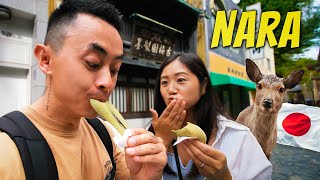 We Tried The VIRAL MOCHI In Japan 🇯🇵 Is Nara Worth Visiting [upl. by Charlotte294]