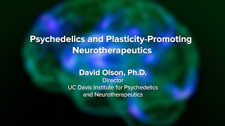 Psychedelics and PlasticityPromoting Neurotherapeutics  UC Davis Psychedelic Summit 2023 [upl. by Longerich]