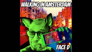 Walking In Amsterdam  Face D [upl. by Valerle]