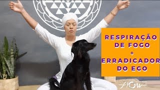 🔥 RESPIRAÇÃO DE FOGO 🔥  ELIMINADOR DO EGO  Kundalini Yoga [upl. by Enomal740]