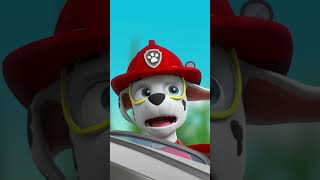 PAW Patrol  ¡Marshall se hace pequeño con el rayo encogedor de Ryder y Rocky Shorts [upl. by Hpesojnhoj]