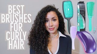 Best Detangling Brushes for Curly Hair [upl. by Delwin]