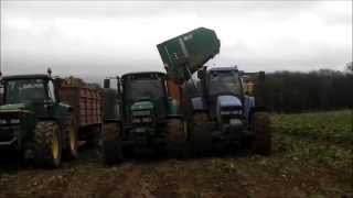 Harvesting Beet 2015 1 Tm150 David Brown John Deere [upl. by Morette]