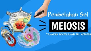 Pembelahan Meiosis  Tahapan Meiosis 1 dan 2 [upl. by Erik767]