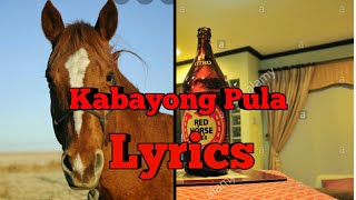 Kabayong Pula LyricsParody [upl. by Derek]