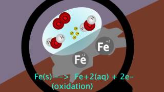 Oxidation Reduction Reaction Animation [upl. by Jenny]