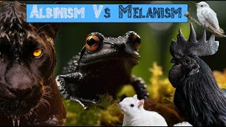 What is Melanism [upl. by Copeland926]