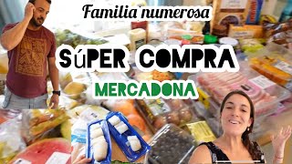 Vlog COMPRA SEMANAL 6 personasNOVEDADESMERCADONA [upl. by Bella858]