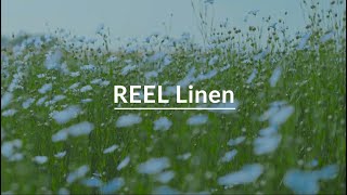 KINGDOM REEL LINEN [upl. by Cassi]