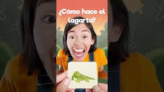 🦎 menique leon lagarto lobo videosgraciosos 123andres alfabeto aprendeespañolonline [upl. by Dunaville]