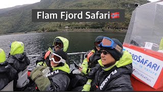 Flam Fjord Safari Awesome Adventure in Norway 🇳🇴 [upl. by Ardnuaet]