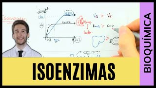 ISOENZIMAS  HEXOQUINASE vs GLICOQUINASE [upl. by Nillek379]