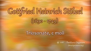 Gottfried Heinrich Stölzel Triosonate c moll [upl. by Otilia]