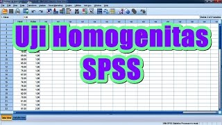 Uji Homogenitas Levene Statistics dengan SPSS Sangat Lengkap [upl. by Noraf]